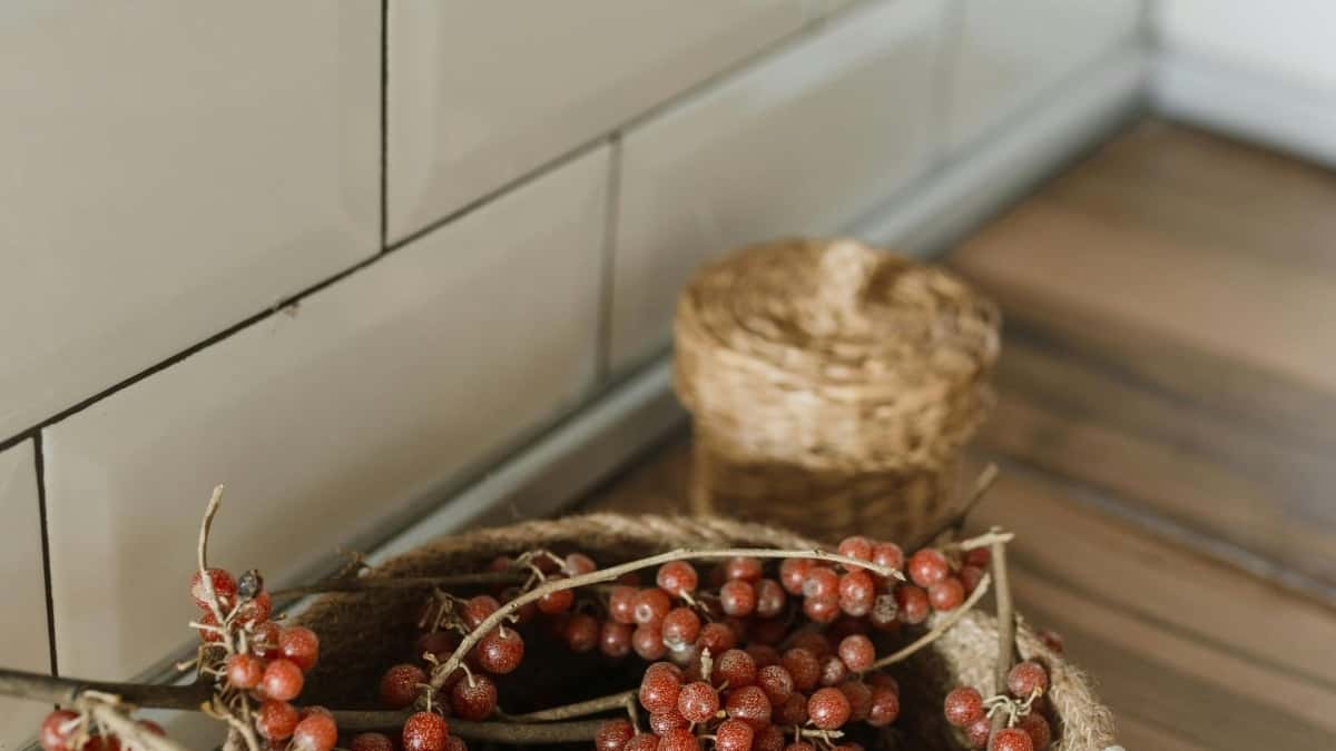 2025 Denmark Pinterest Omukago Gwokukola Amannya G’okukozesa