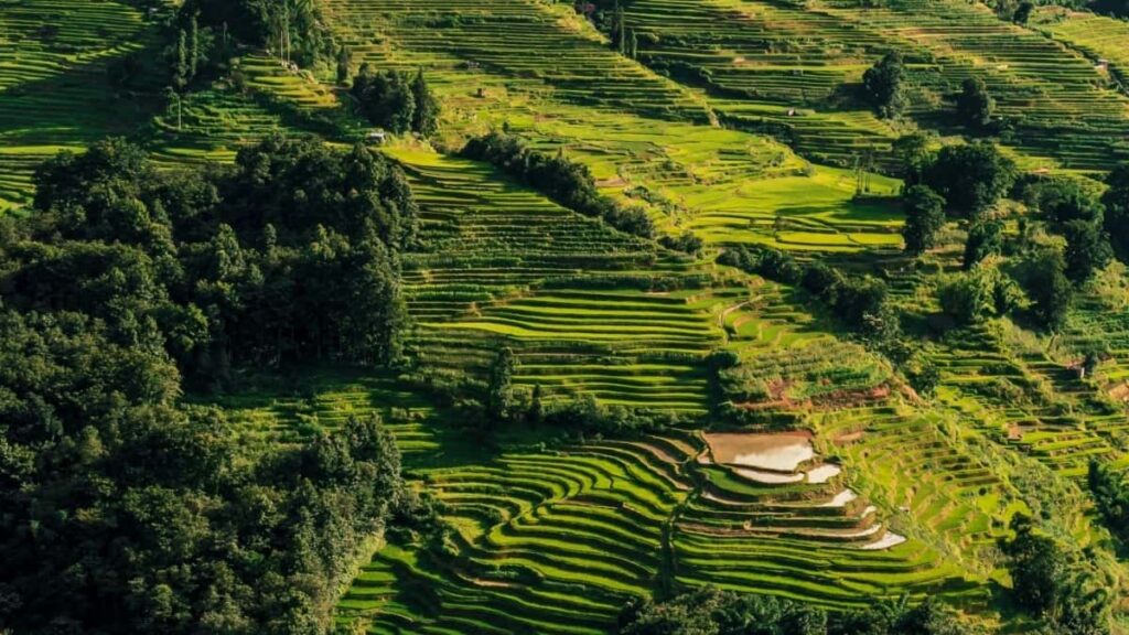 Norway Snapchat Advertising Rates 2025 Uganda Guide