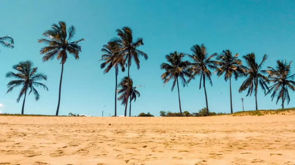 Omuwendo gw'ebyafaayo ebikola mu China guziyiza okutuukako mu mbeera ya Viber — eby'okukola ku ba creator mu Uganda, n'okuwandiika eby'okulabirako ku ngeri y'obulamu obulungi ku followers.