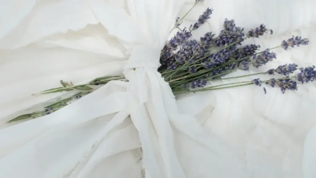 Amagezi ag'okuzimba obuzannyo: enkola ez'okulaba Kazakhstan Line creators okufuna abayambako ku new health supplements mu 2025.