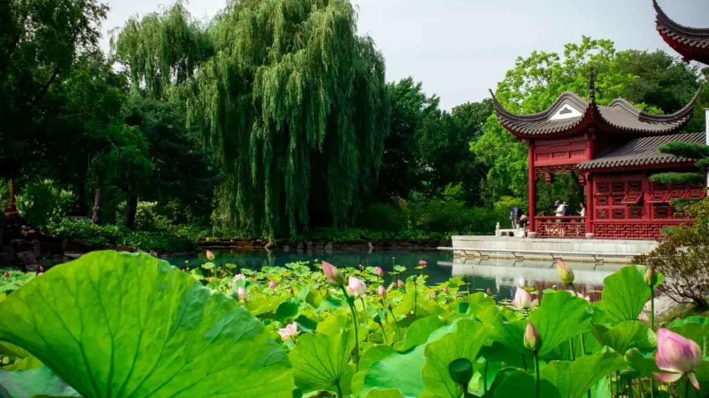 Omukutu gw'obulimi ogw'ebyenjigiriza: engeri gye weetaaga okufuna abakola ku Discord mu Latvia okwekenneenya naye okuteekateeka emikubo egy'obuyambi mu Uganda.