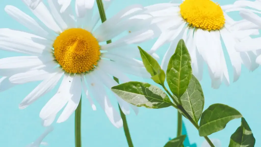 Amagezi agavuddemu ku buryo abacreator mu Uganda basobola okusanga n’okukwatagana ne Finland brands ku Clubhouse okutuusa ku kukolera wamu behind‑the‑scenes content.