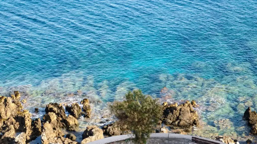 Amagezi ag'enjawulo ku bantu abakozi ba social media mu Uganda — ebyo okwetegeza aba Mongolia ku Discord n'okukola giveaways ezinoonya buyers n'obwannannyini.