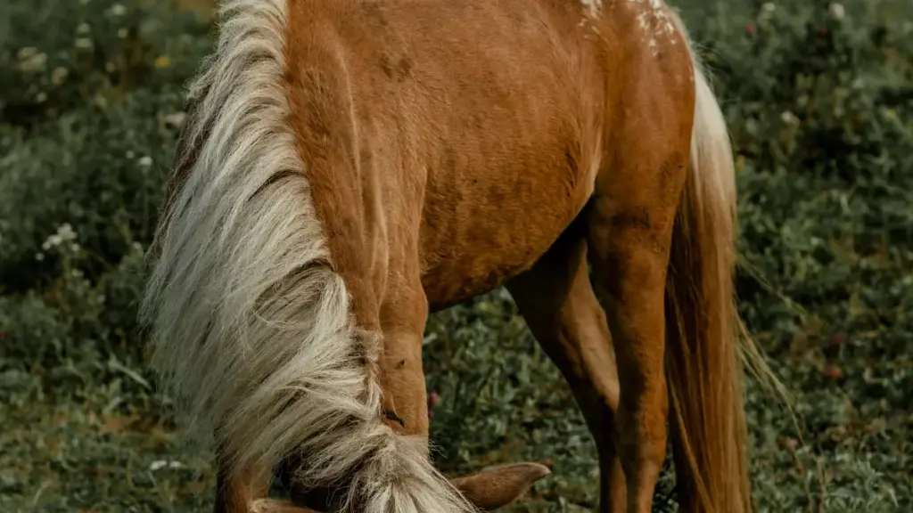 Omuwandiisi ow’omumuganda aggyewo engeri gye yegattako n’amabrands ga Portugal ku KakaoTalk, nga asobola okutambuza obulungi ebirala by’obusuubuzi n’eby’okukola obulungi mu 2025.