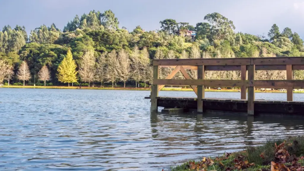 Amajjinja g'omulimu ogw'obukodyo: enkola z'okulaba, okufuna n'okukolagana n'abakulembeze ba Pinterest okuva mu Czech Republic — endowooza ez'okusaba mu Uganda.