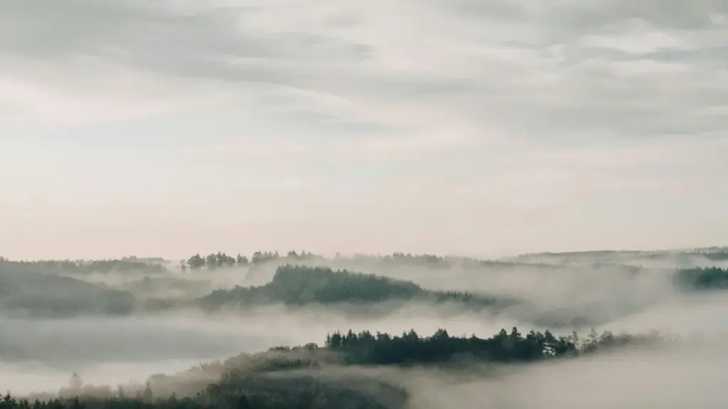 Endowooza gye wakola, amawulire n'ebigambo eby'ekika ku okufunayo Lebanon Twitter creators abajjudde obukugu mu UGC okukulaakulanya travel gear mu Uganda.