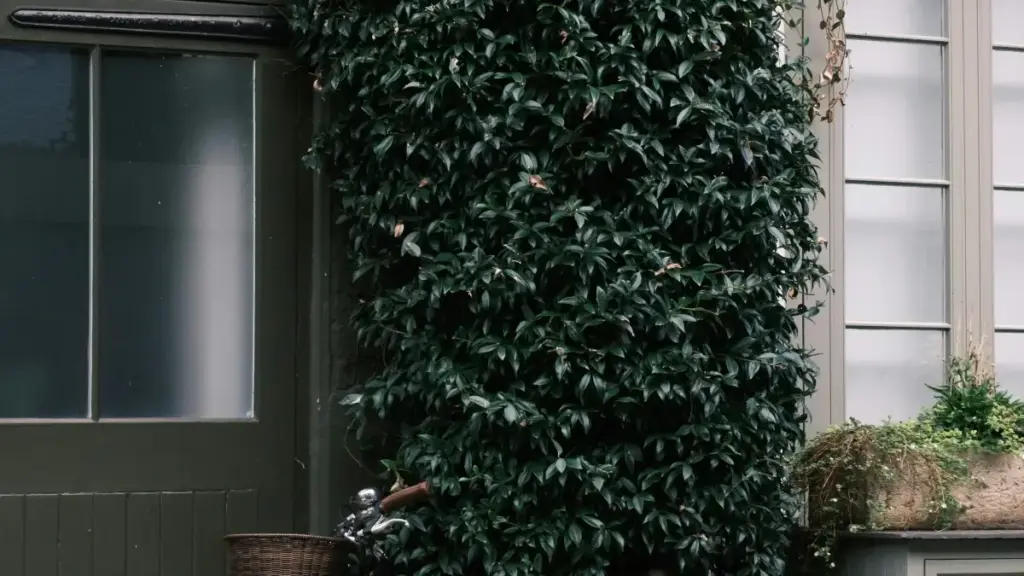 Oluyombo oluwandiikiddwa ku bantu abassa ebyobulamu mu Uganda — enkola z'okusanga abacreator abava Myanmar ku WeChat okwongera okusala giveaway campaigns.