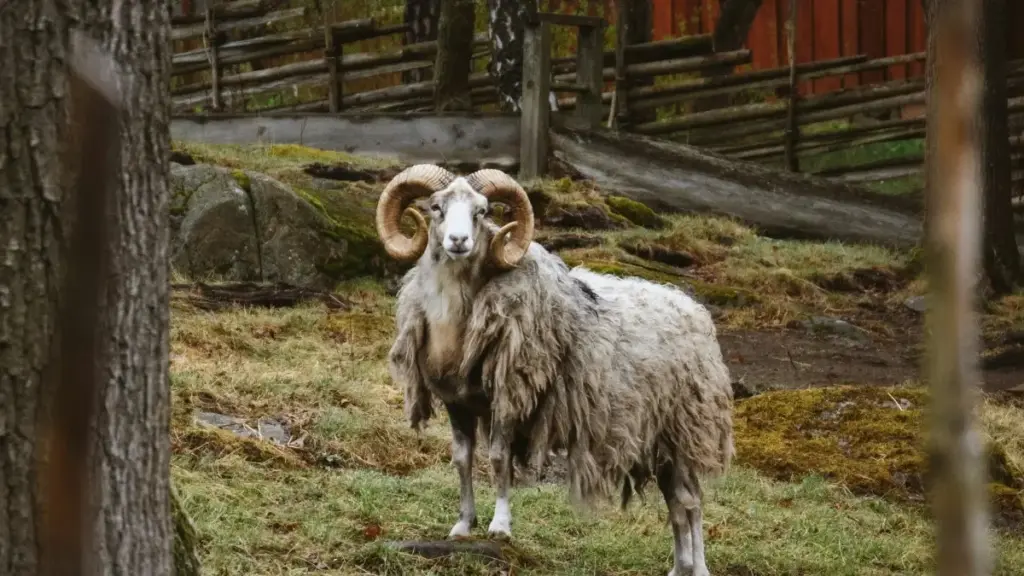 Omukutu gw'okusasula eby'okukola ku Spotify mu Saudi guli mu kukula — engeri yo okufuuka omuwandiisi ow'okusaba amakampuni ga Saudi, enkola z'eggwanga, n'empisa eby'obulambuzi.