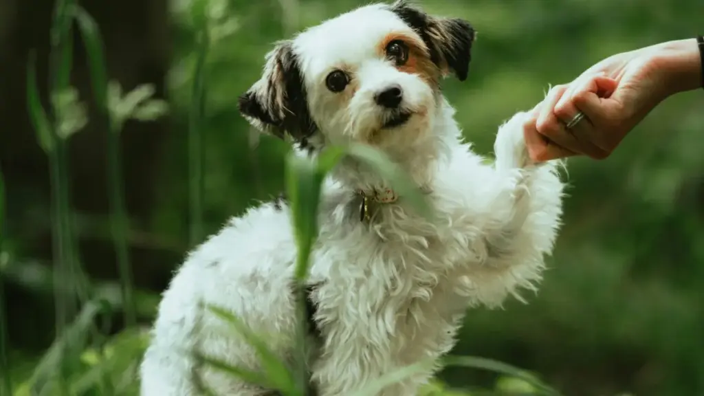 Ebiteeso ku ngeri y'okwegatta n'amakompyani ga United States ku Bilibili okukola product bundles eziwandiikiddwa obutereevu, eby'obusuubuzi n'obukugu obusobola okukuyamba.