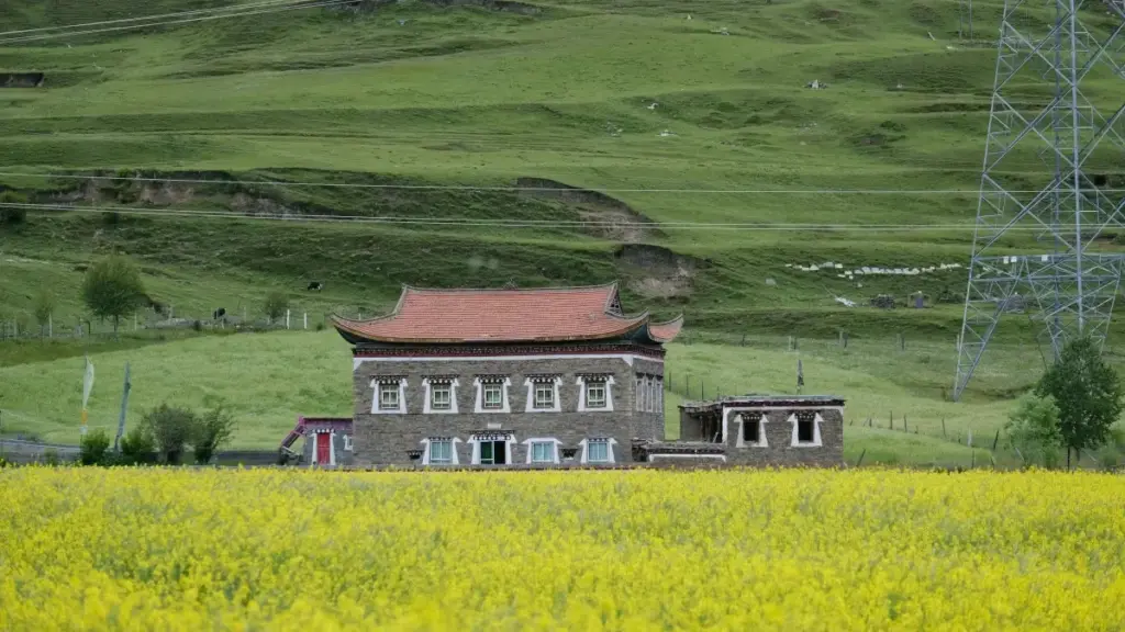 Akalulu akasooka ku ngeri gy'osanga abalimi ba Twitch eMongolia okuteeka micro‑influencer trials — amagezi ag'obulungi, eby'okukuba ebikozesebwa, n'ekyokulabirako kimu ku Pooshlo.