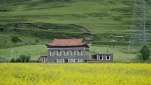 Akalulu akasooka ku ngeri gy'osanga abalimi ba Twitch eMongolia okuteeka micro‑influencer trials — amagezi ag'obulungi, eby'okukuba ebikozesebwa, n'ekyokulabirako kimu ku Pooshlo.