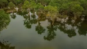 Omukutu gw'empandiiko gufuula amawulire ku butongole bweba ba creator mu Uganda — eby'okukozesa Twitch okutuukiriza France brands okusobola okuzimba outfits n'ebintu by'ebyambalo.