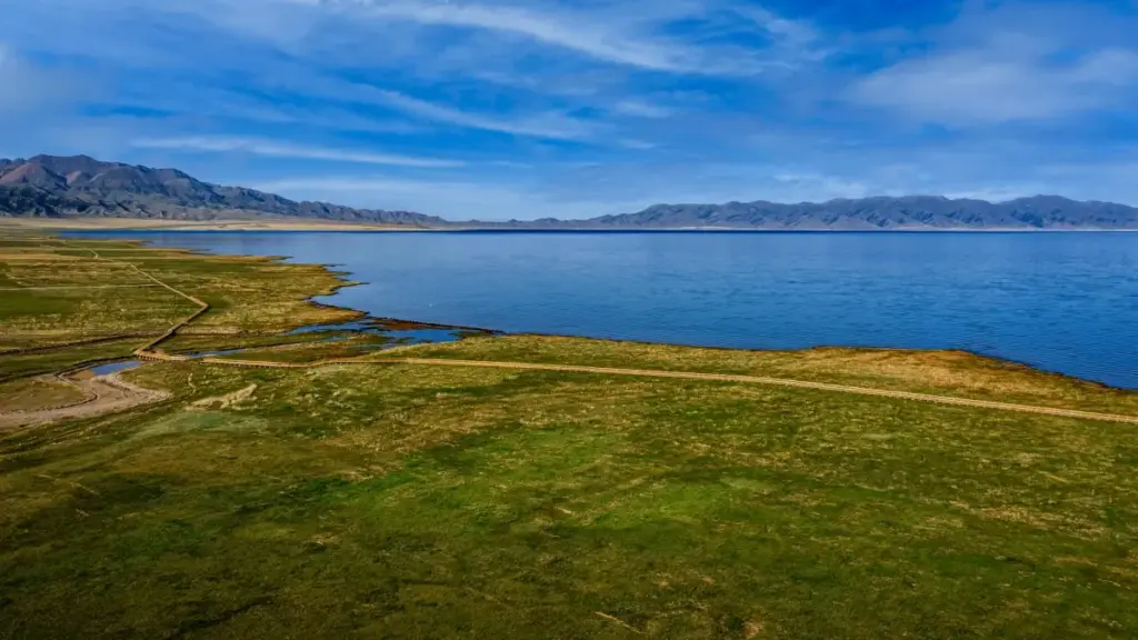 Omuwandiisi ow’omu Uganda: enkola z’okufuna Myanmar brands ku eBay, okutumbula conversion n’ebigambo eby’akasityo (CTAs). Practical strategies zino ziva mu AI trends, mobile optimisation ne feedback automation.