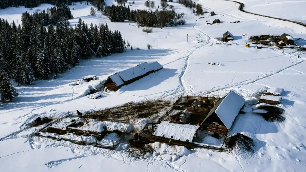 Amagezi ag’enjawulo ku ngeri y’okuentamu n’emitendera egy’omu Instagram okufuna amawulire gya brand ambassador mu Uzbekistan — eby’obusuubuzi, engeri y’okukola outreach, n’ebiraga ekyo kisinze.