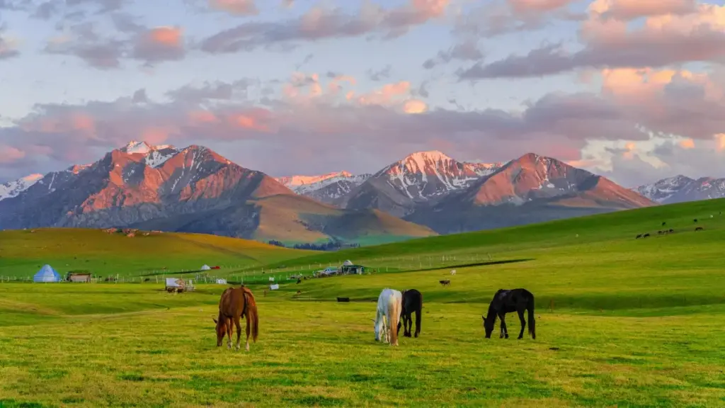 Amagezi ag’obutebenkevu ku ngeri y’okufuna abakola ku WeChat okuva Sri Lanka okwagala eby’obusuubuzi n’okuzimba reach mu Uganda.
