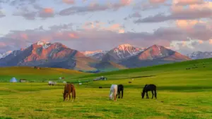 Amagezi ag’obutebenkevu ku ngeri y’okufuna abakola ku WeChat okuva Sri Lanka okwagala eby’obusuubuzi n’okuzimba reach mu Uganda.