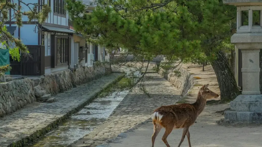 Amagezi ag'obugagga okuva mu bajjajja b'okusindika: engeri y'okufuna abayizi ba Uruguay Line ne balikola unboxing campaigns ezizimbiddwa viral mu Uganda.
