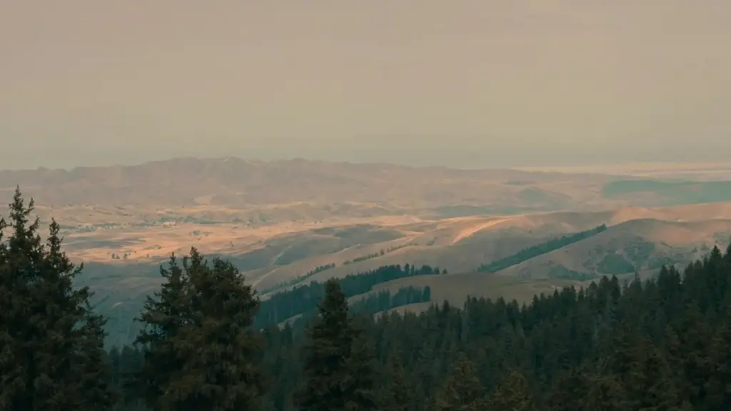 Amaloboozi ag'oluguŋŋaana ku ngeri g'abalesezi b'eNigeria ku Disney Plus gye basangibwa ne enkola ezisobola okuteeka obulungi ku brand mu Uganda.