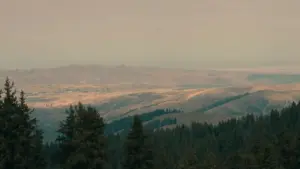 Amaloboozi ag'oluguŋŋaana ku ngeri g'abalesezi b'eNigeria ku Disney Plus gye basangibwa ne enkola ezisobola okuteeka obulungi ku brand mu Uganda.