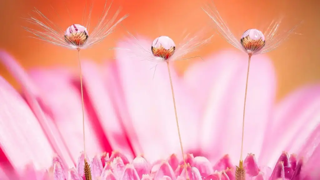 Omukisa gw'okugatta ku Panama brands ku Lazada ne kusangagana n'ama discount codes—ebigendererwa, amagezi ag'obulambuzi, n'enkola ezikuleeta emission mu Uganda.