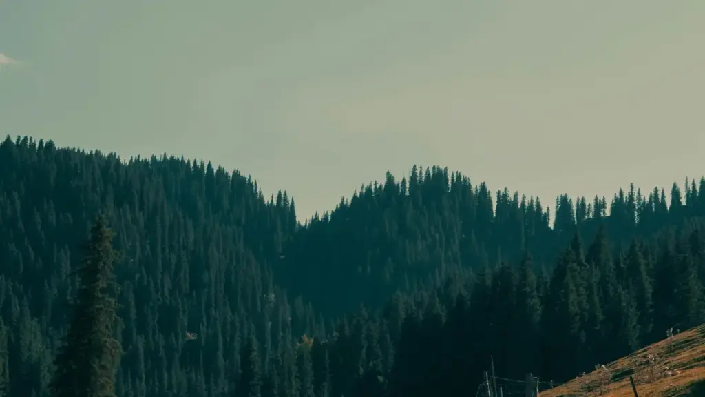 Omukutu oguyamba abacreator b’e Uganda okufuna amawulire n’amaanyi g’obusuubuzi okuva ku mbalirira za Paraguay ku vkontakte, n’obukugu ku content ya fitness.