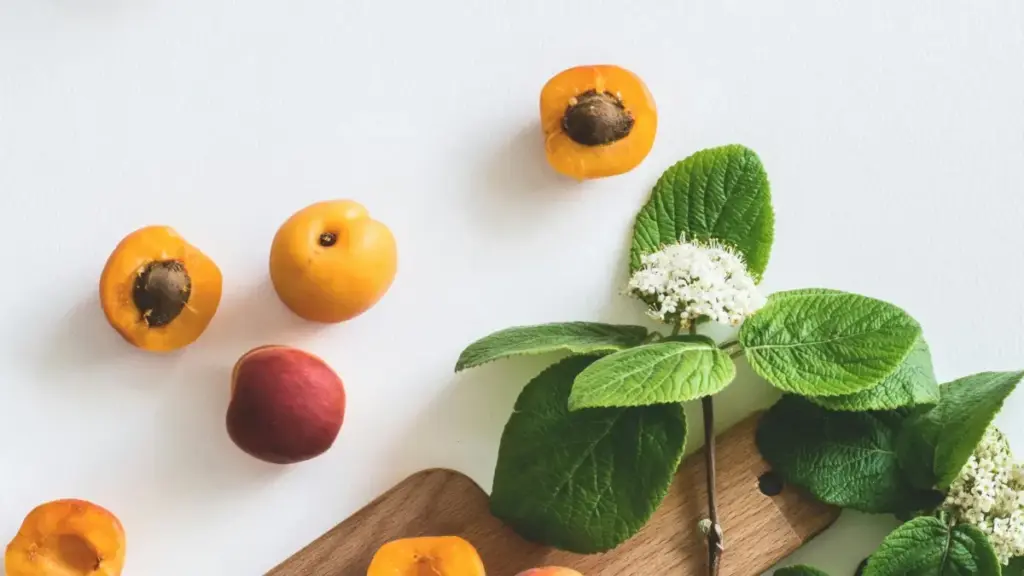 Amagezi ga praktikal ku ngeri y'okudduukirira okuva ku Uganda okwetawo mu micro creator seeding programs za Serbia ku Facebook — ebirungi, ensonga za engagement, n'ensonga za safety.