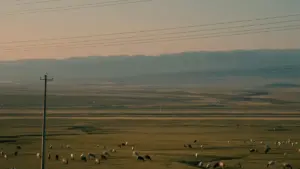 Amagezi ag’obulungi ku nkozesa ya Kuaishou abakola mu Lithuania okuddukanya brand messaging mu livestreams — amagezi, ebisanyizo, ne tools ezikuyamba.