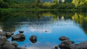 Omuwendo gw'enkola n'amayiro ag'enjawulo gye twagala okusobola okufuna abayambi ba Zalo mu Dominican Republic okwongera amawulire ga behind‑the‑scenes ku campaigns yo — obulungi bw'obufunze obulamu n'empuliziganya.