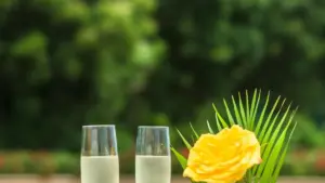 Amagezi ga praktika okuva mu BaoLiba: engeri y’okunoonyereza aba creators ba Roposo mu Netherlands, obuweereza obutuufu, n’engeri ez’okulabikako okutumbula visibility ya product yo mu Uganda.