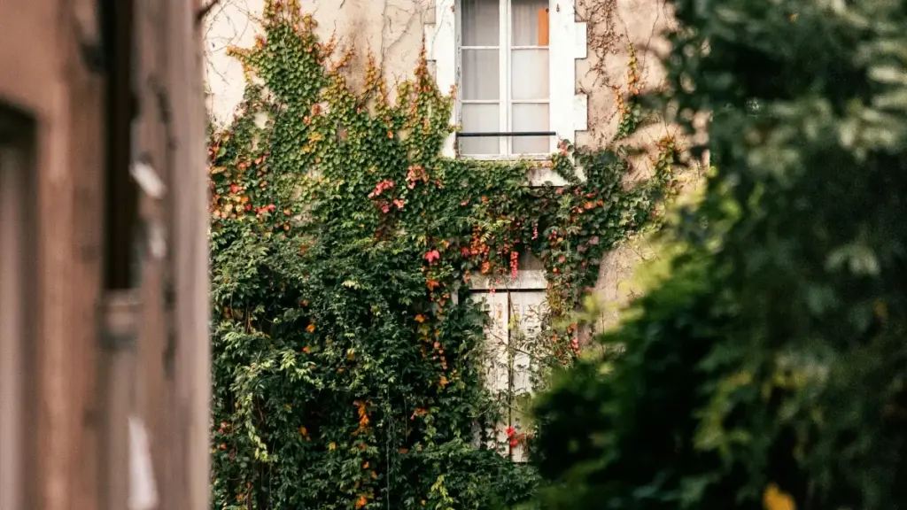 Omwanzuro ogw'obulungi gwa myaka 2026: eby'amagezi ku ngeri gy'oyingiza amawulire ku HBO Max ne Ethiopia brands nga creator ow'eby'obulungi, ne MaTitie afunye enkuyanzu ya VPN.