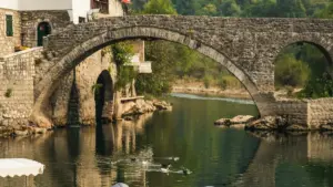 Ebintu eby'obugumu ku ngeri gy'osanga creators okuva eBangladesh ku Discord okuzzealira reaction campaigns z'album — enkola, obulamu bw'ettendekero, n'ebirungi eby'obulamu mu Uganda.