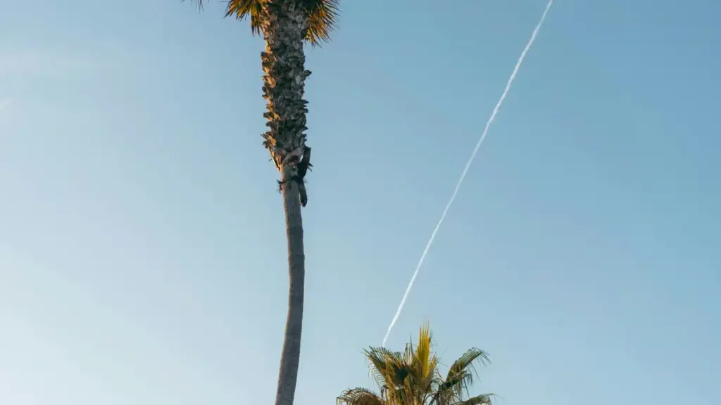 Ddamu okukwata Argentina brands ku Xiaohongshu n’amagezi ag’okukola before-and-after posts ezisikiriza, zisobole okusasula, era zireete brand deals.