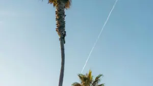 Ddamu okukwata Argentina brands ku Xiaohongshu n’amagezi ag’okukola before-and-after posts ezisikiriza, zisobole okusasula, era zireete brand deals.