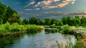 Oyagala aba creator ba Greece abaasobola okunyumya brand yo mu content? Wano waliwo engeri enyangu, entegefu, era ekola ddala ku PR packages.