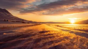 Ngeri gy’osobola okufunamu abakola ku Greece Disney Plus, okubateekamu mu kolabuleeshoni ez’amaanyi, n’okuzimba product line erina okusikiriza abantu.