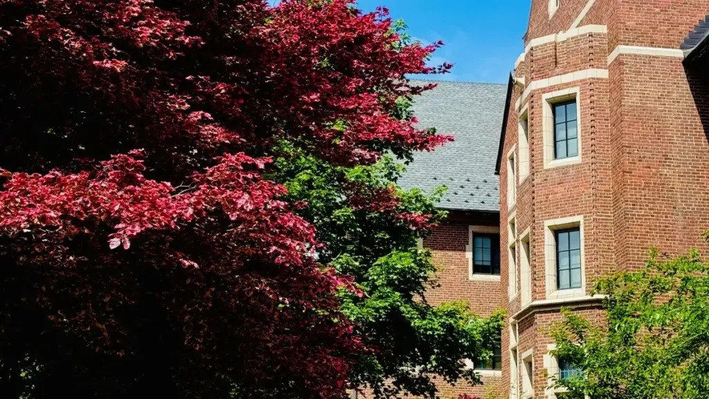 Laba engeri y’okuzuula Iraq Threads creators abalina obwesige, ne ntegeka kaweefube wa fitness challenge eyeeyambisa creator-led growth.