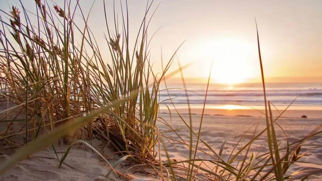 Kino kiraga engeri y’otwala Japan brands ku Threads, n’otandika micro creator seeding programs nga toli Japan. Pawulo wa content, DM, ne pitch ezikola.