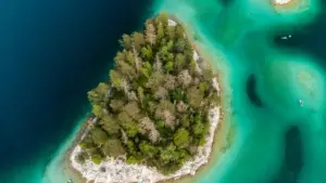 Engeri gy’osanga creator wa Oman ku VKontakte, n’oteka brand messaging mu livestream nga tewali kusika bawuliriza.