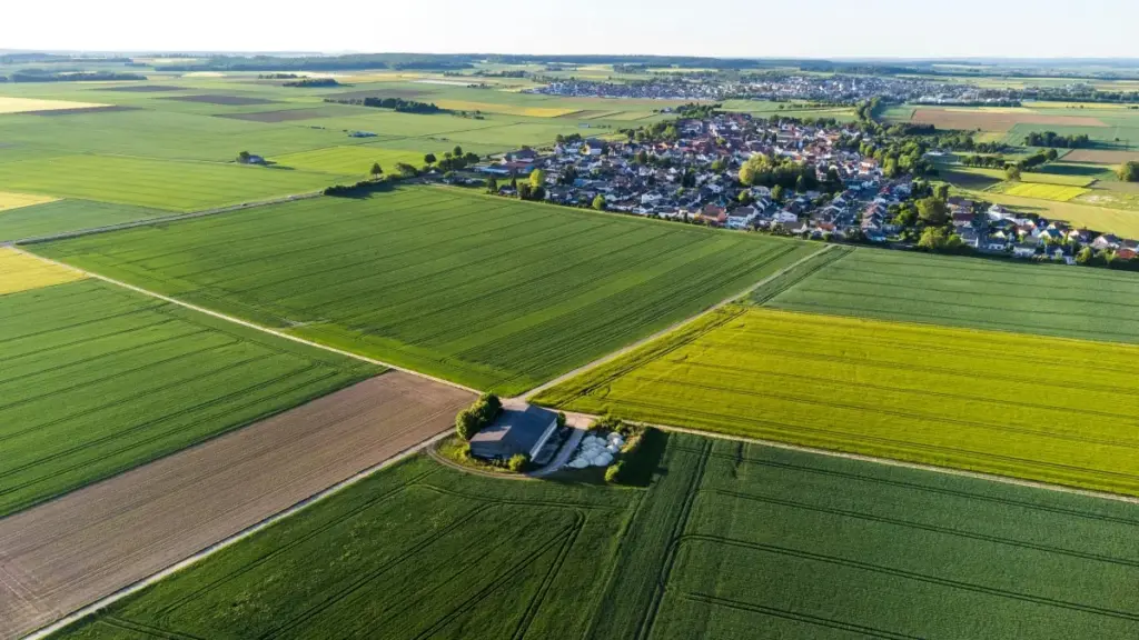 Engeri gy’osanga brands za Tanzania ku Disney Plus, osimba obwesige, n’ositula obuwanguzi bw’emikago egy’ekiseera ekiwanvu nga creator okuva mu Uganda.