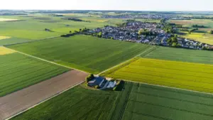 Engeri gy’osanga brands za Tanzania ku Disney Plus, osimba obwesige, n’ositula obuwanguzi bw’emikago egy’ekiseera ekiwanvu nga creator okuva mu Uganda.